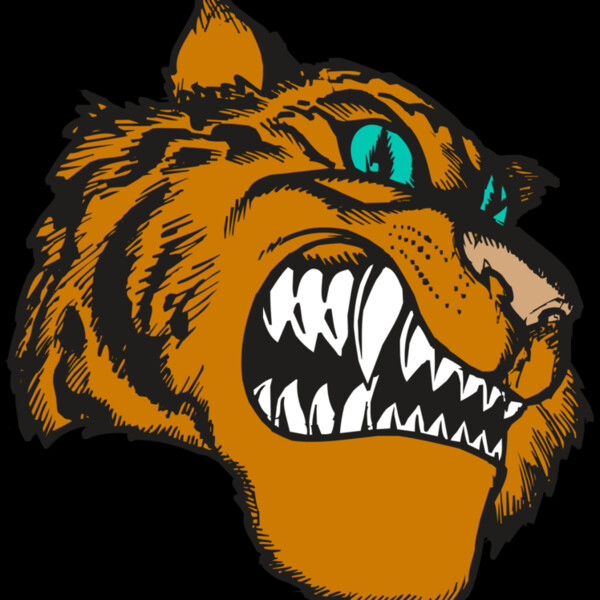 BAW TIGER 11 RC Thumbnail