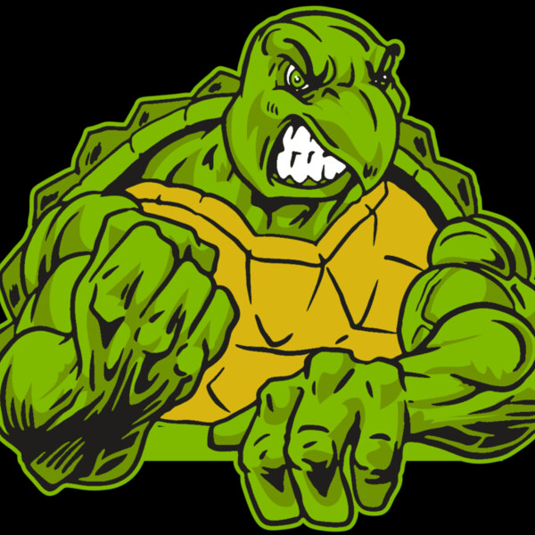 AR31 TURTLE 01 RQC Thumbnail