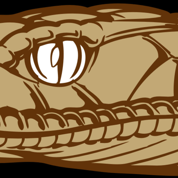 BAW SNAKE 12 RC Thumbnail