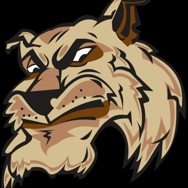 WILDCAT HD0501 RQC Thumbnail